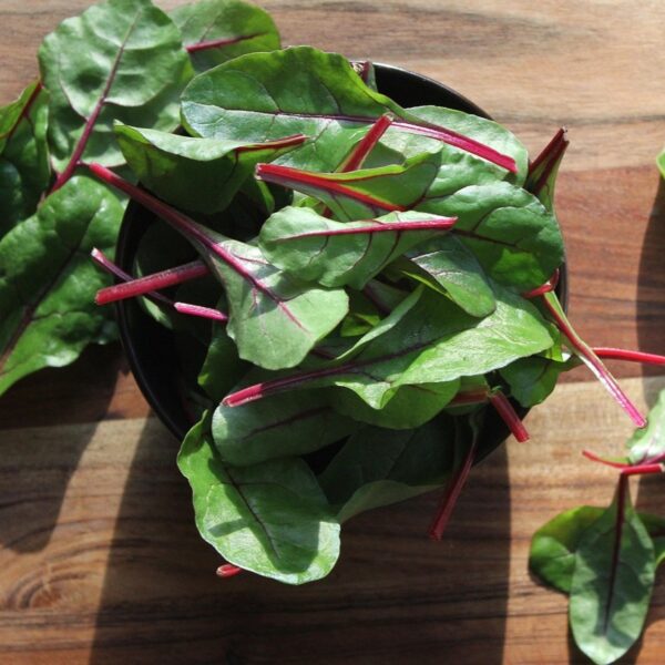Swiss Chard