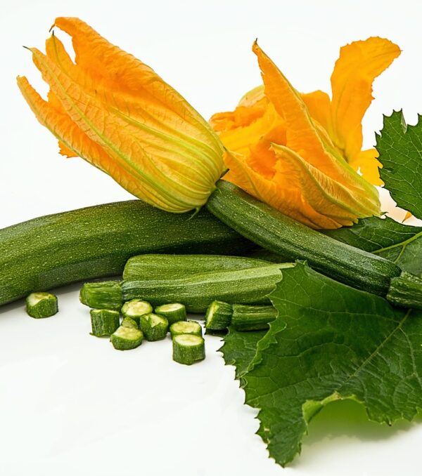 Organically Certified Squash Blossoms