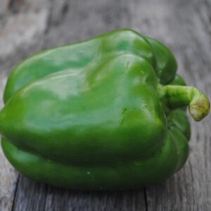 Organically Grown Green Bell Peppers