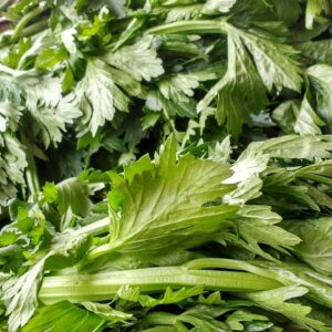 Organically Grown Celery
