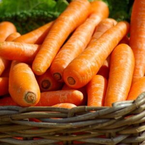 Organically Grown Carrots
