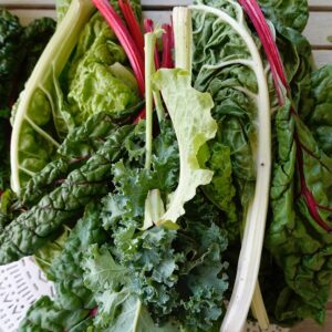 Organically Grown Chard Bundle