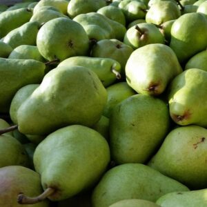 Certified Organic Harrow Sweet Pears - 20 lb Case