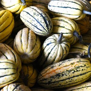 Organically Grown Delicata Squash