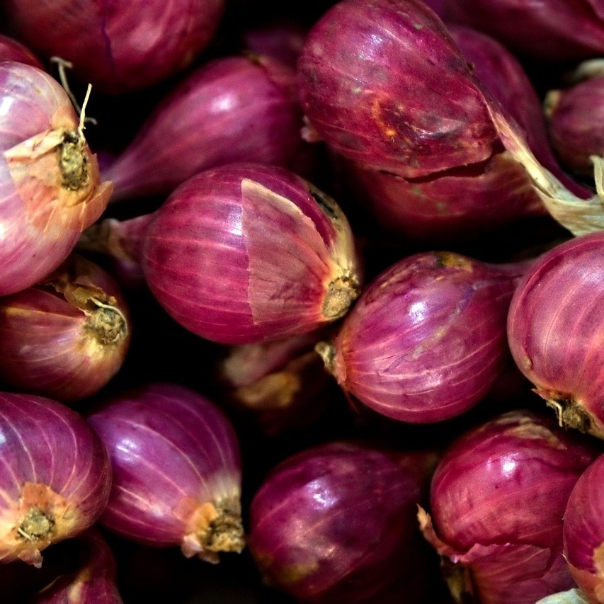 Certified Naturally Grown Red Sweet Onions