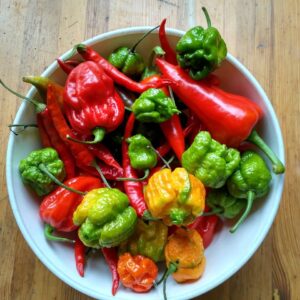 Organically Grown Hot Pepper Mix