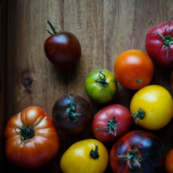 Organically Grown Slicing Tomatoes