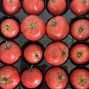 Organically Grown Slicing Tomatoes