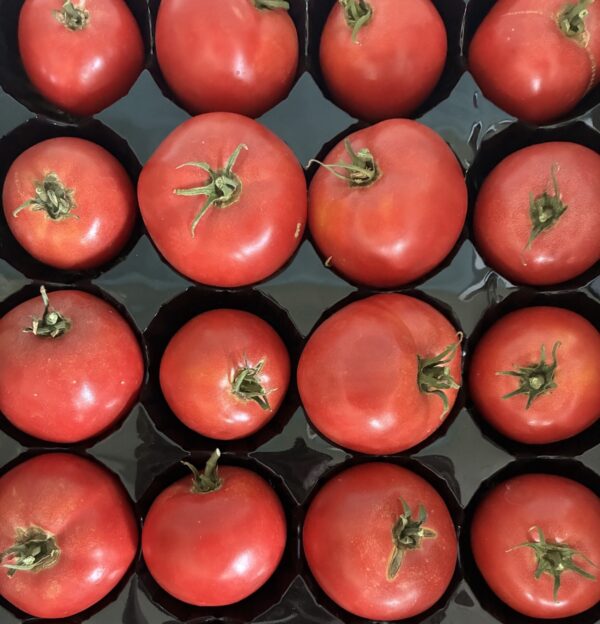 Organically Grown Slicing Tomatoes