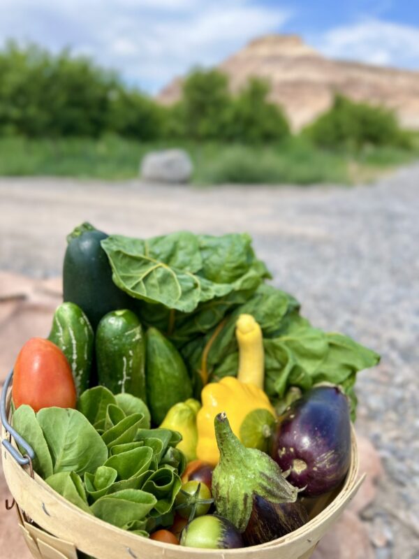 Organically Grown Baby Eggplant - Image 5