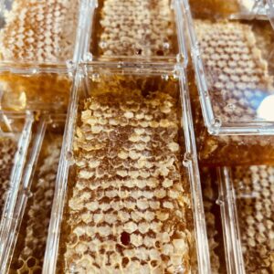 Honey Rock Landing Honeycomb