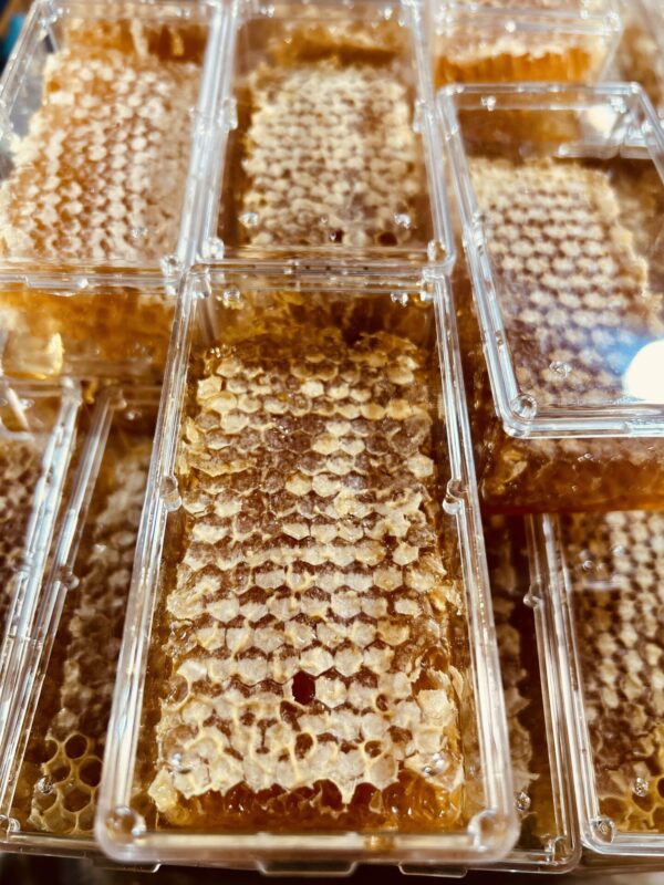 Honey Rock Landing Honeycomb
