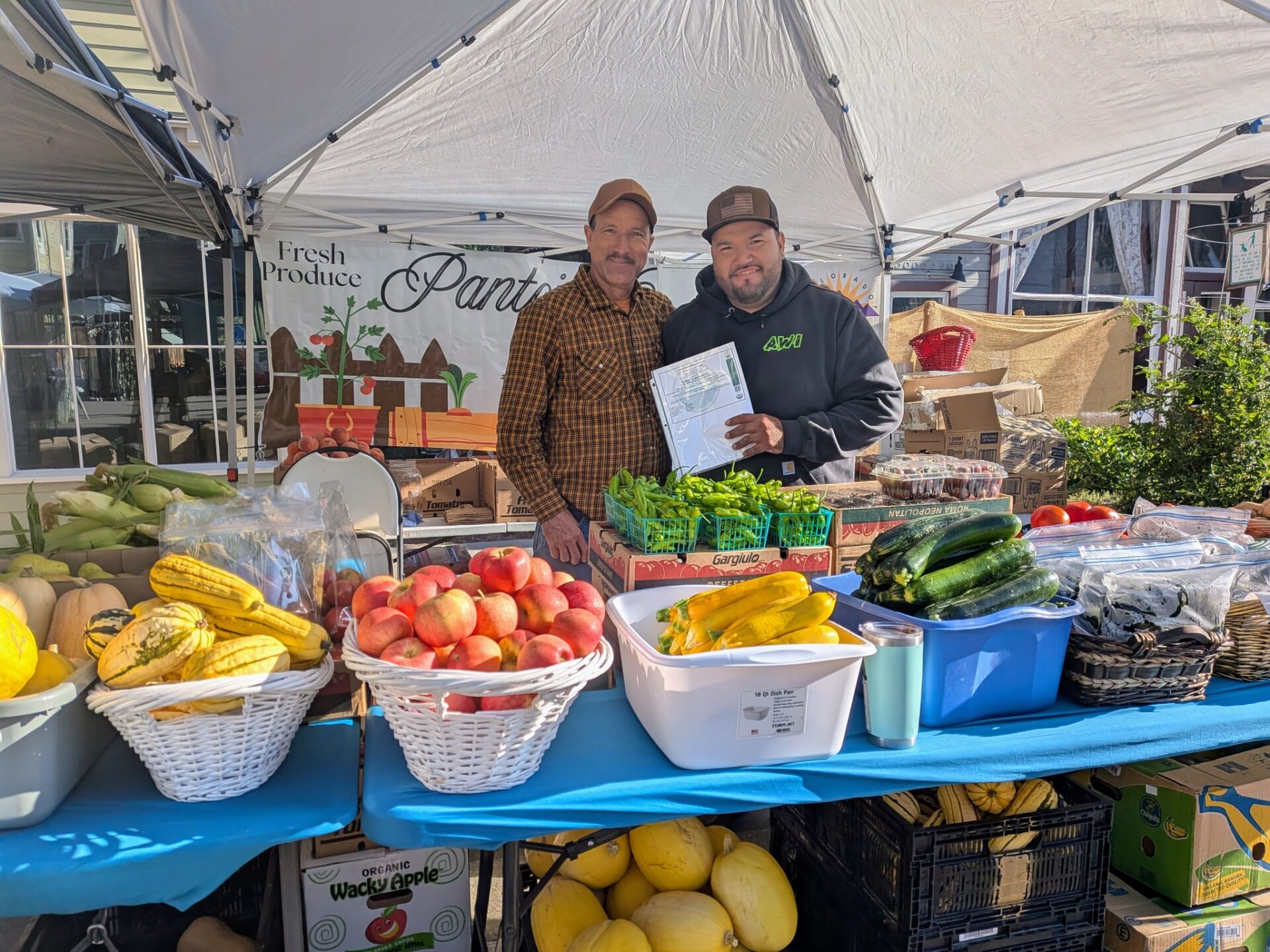 Certified Organic Carving Pumpkins - Image 2