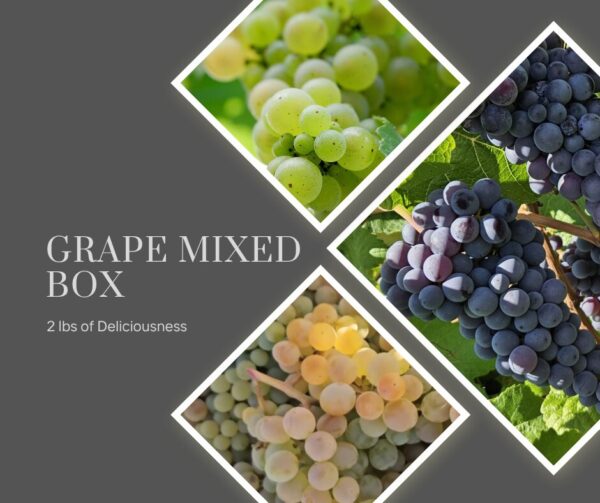 Organically Grown Grape Mix