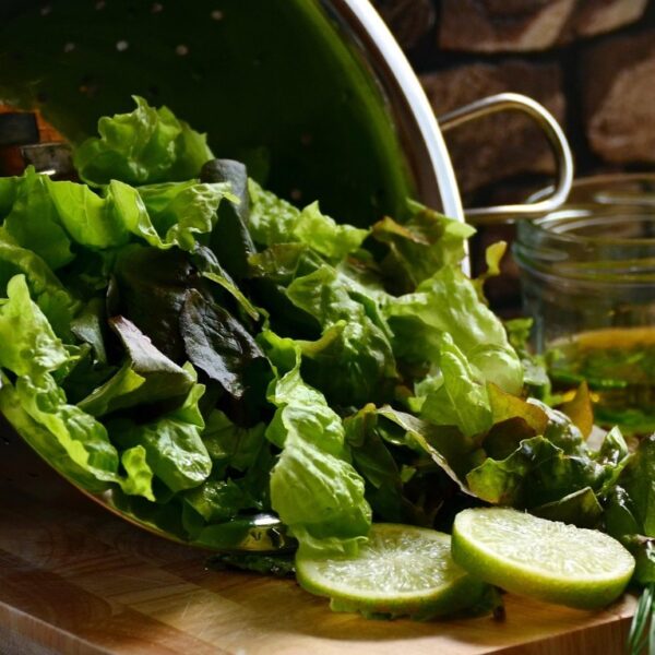 Organically Grown Spicy Greens Mix