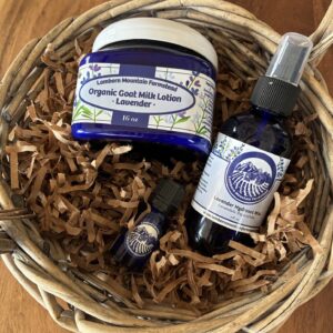 Serenity in Lavender Basket