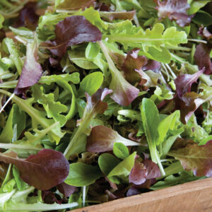 Organically Grown Baby Leaf Lettuce Bag