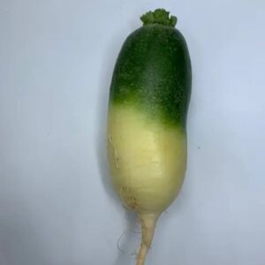 Organically Grown Green Meat Radish