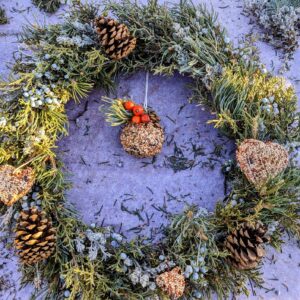 Winter Bird Feeder Wreath