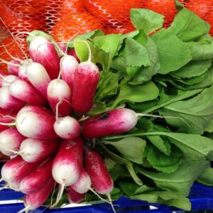 Organically Grown China Rose Radish