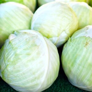 Certified Organic Green Cabbage