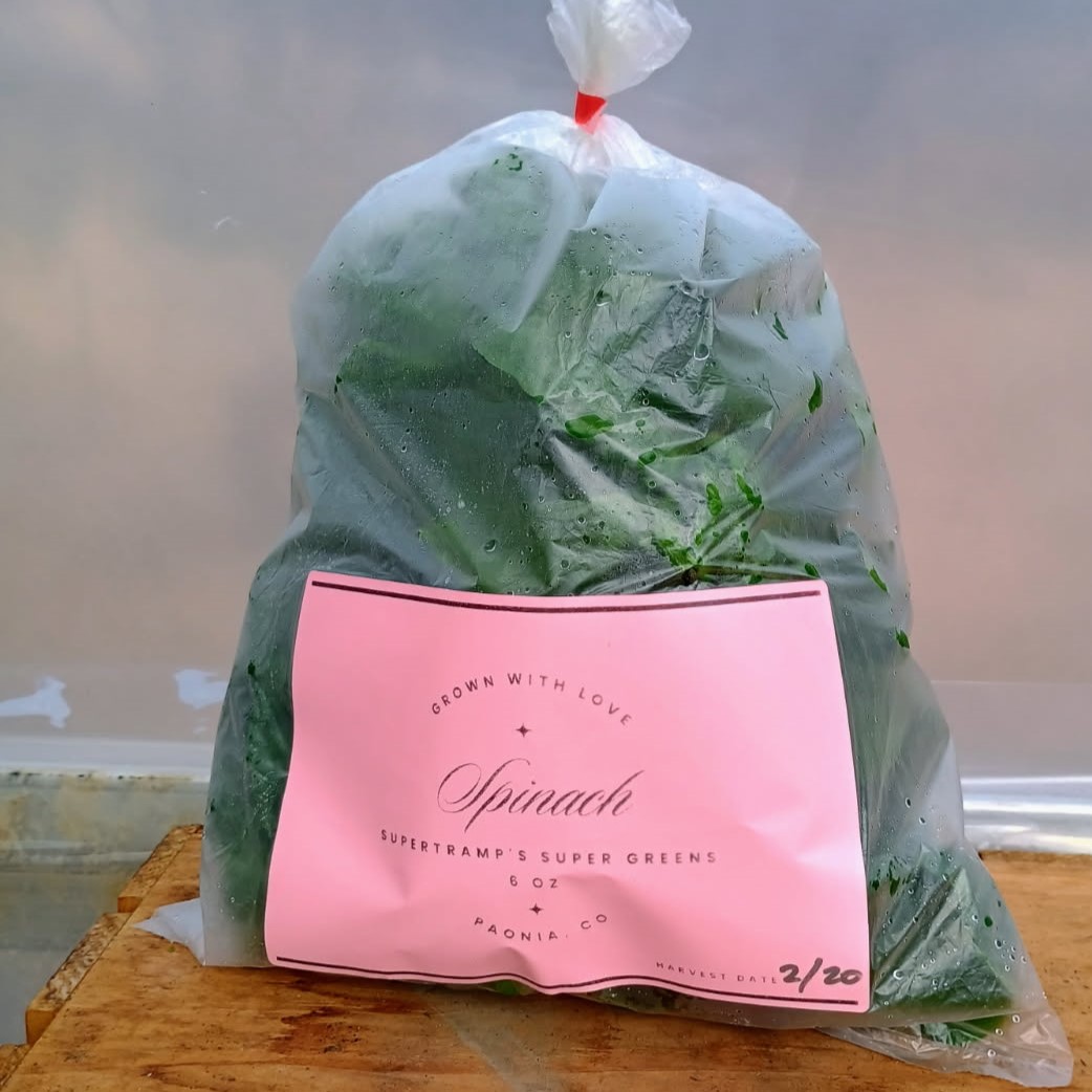 Organically Grown Supertramp Spinach